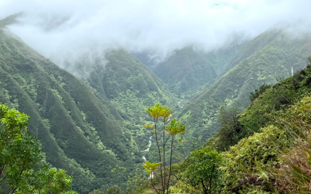 不到頂峰非好漢  冒雨攀登西毛伊島拉尼利利之巅