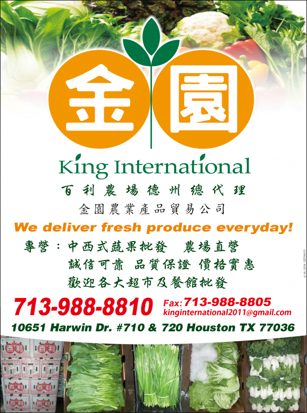 King International金园食品批发